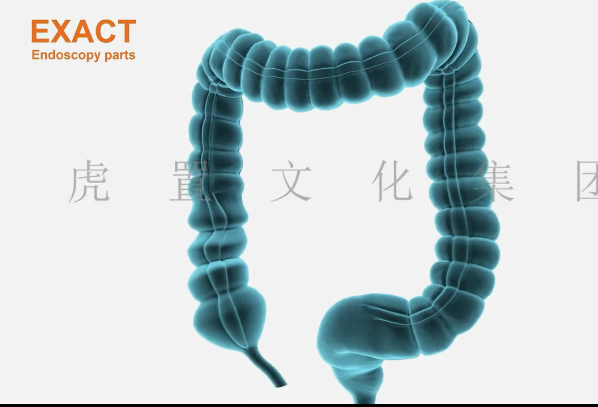 如何制作三维医疗产品动画，上海3d医疗动画制作哪家好？